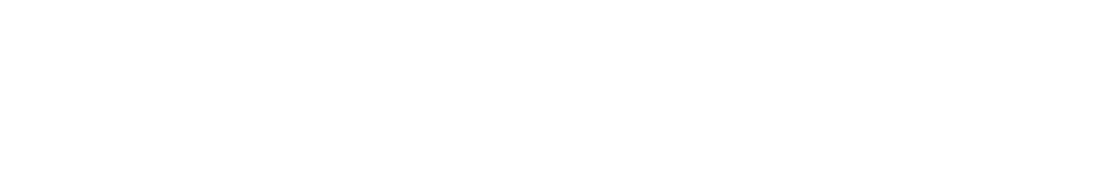 Coerver Camps